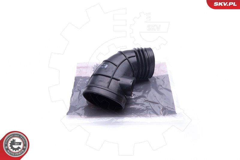 Intake Hose, air filter